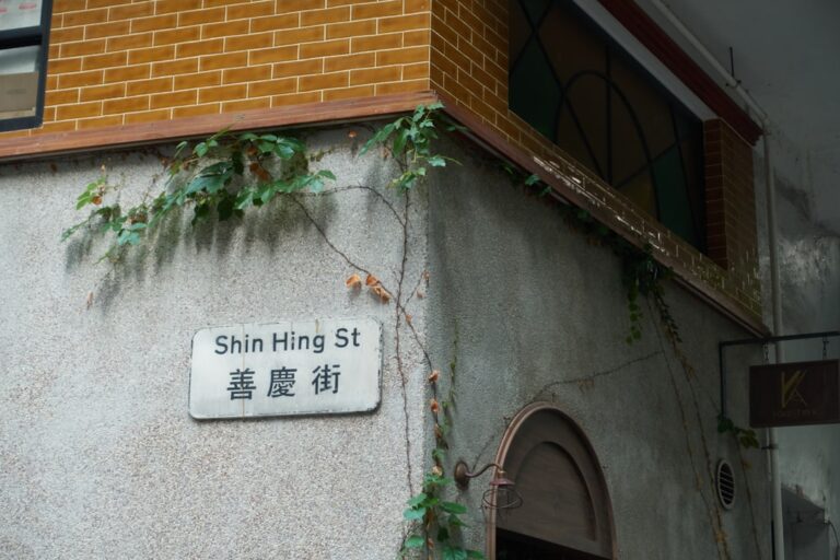 Goji Studios