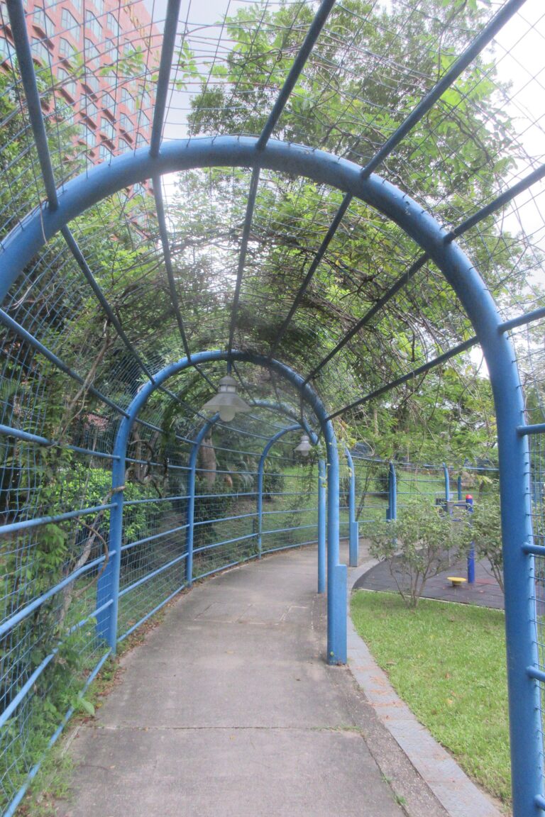 沙田公園 Sha Tin Park
