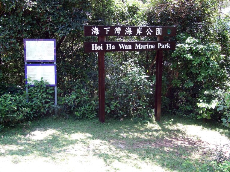 海下灣海岸公園浮潛